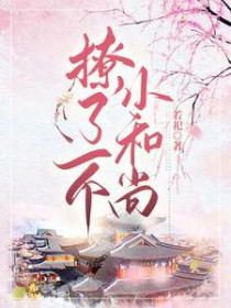 撩了一个小和尚撩了一个小和尚