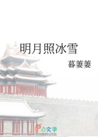 明月照冰雪明月照冰雪